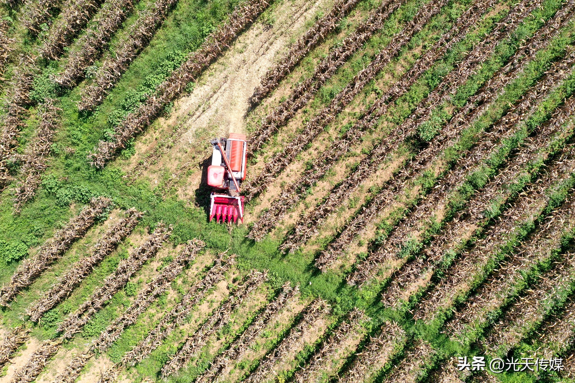 贵州麻江:机械唱“主角”稳粮促增收