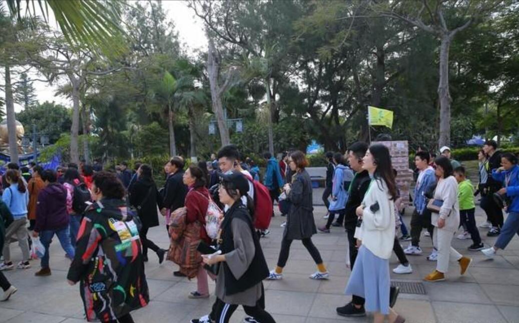 云南旅游团不让车上睡觉后续,去云南旅游在车上睡觉被导游骂