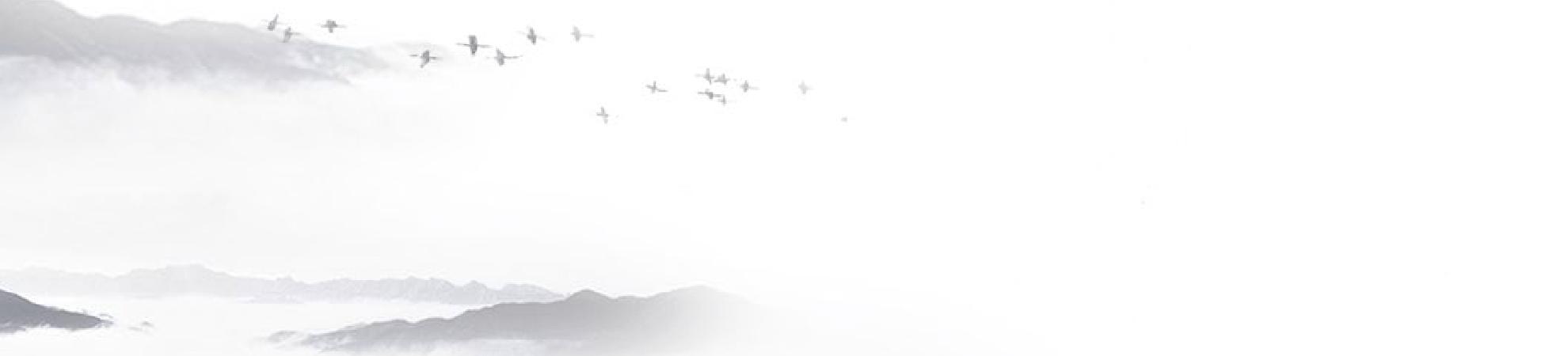 失落的大陆电影讲的是什么,电影失落的大陆