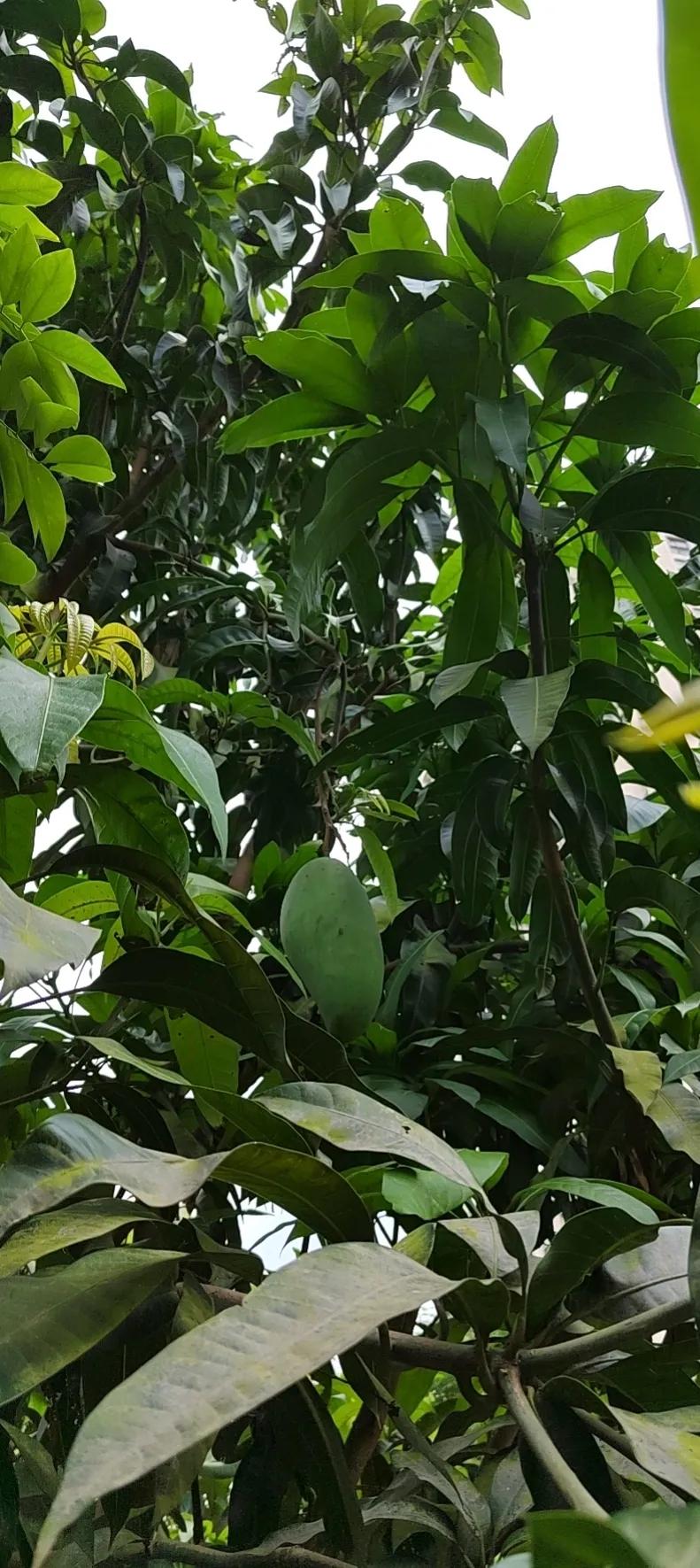 副高答辩技巧和注意事项,职称答辩技巧和注意事项