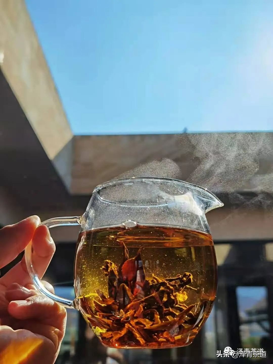 假期结束无心上班？这样喝茶帮你甩开疲惫，大展宏兔，前兔无量！