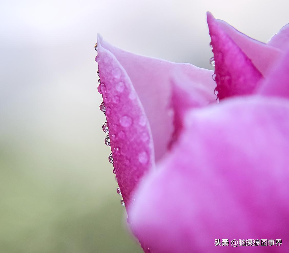 你拍的照片不够唯美,你拍的照片不清晰是怎么回事