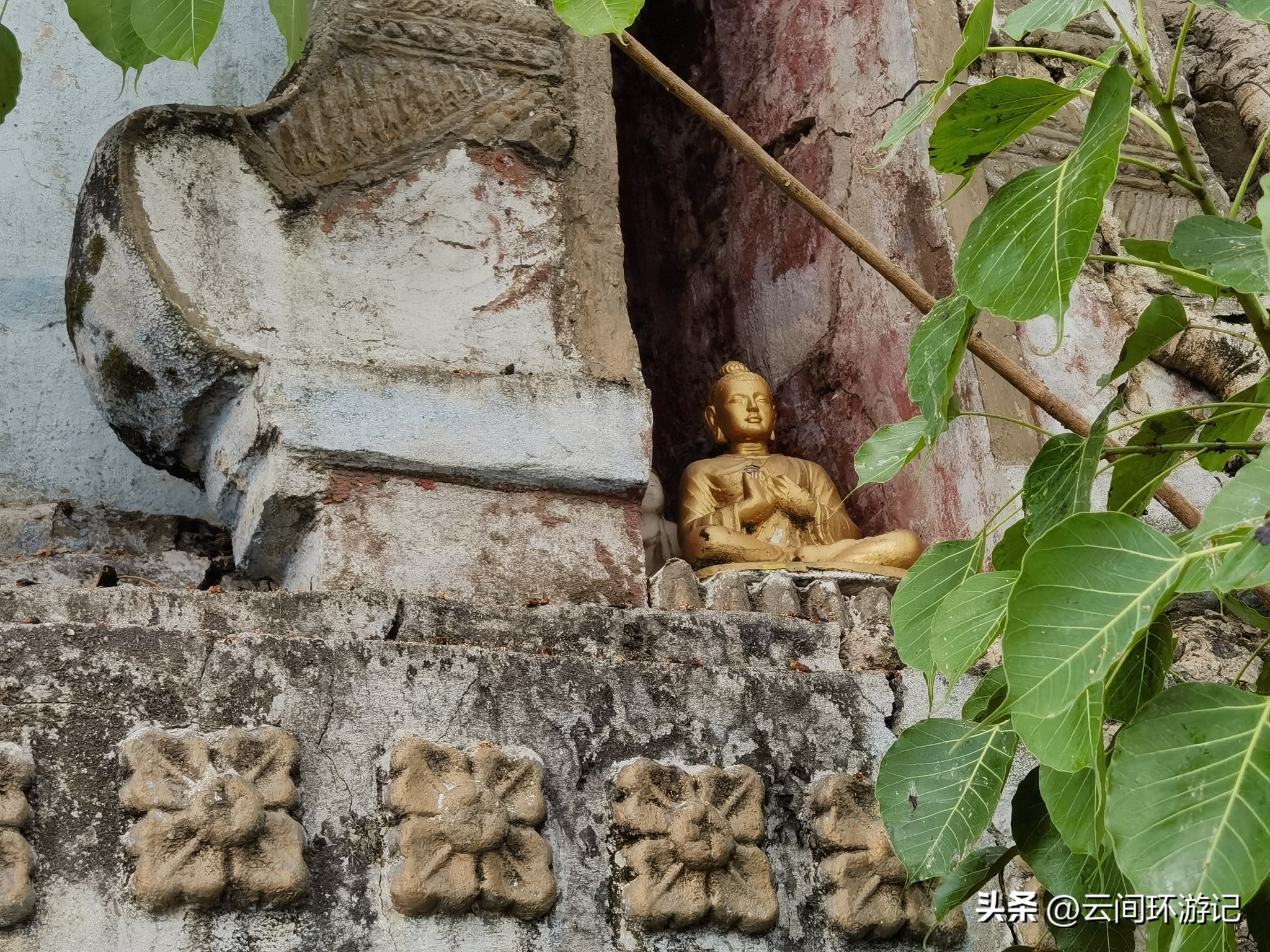 缇庝附寰峰畯娴极涔嬫梾,婕父寰峰畯