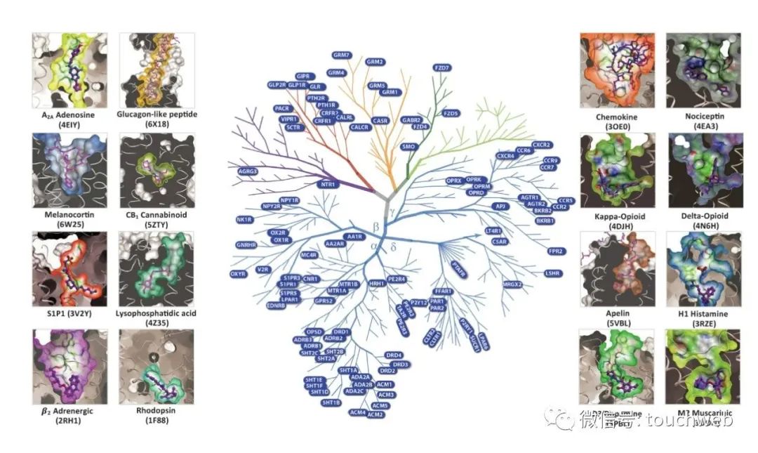 纭曡开鐢熺墿鑾峰緱铻嶈祫,纭曡开鐢熺墿鑲＄エ