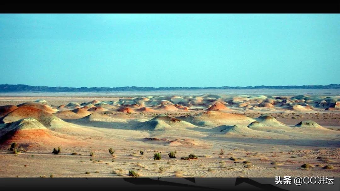 海洋恐龙和陆地恐龙,海洋恐龙与陆地生物对比