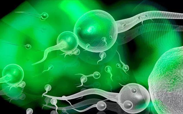 中药可以调理男性不育吗,治疗男人不育的中药是补肾壮阳吗