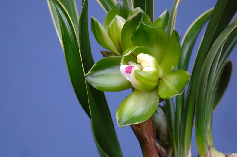 哪四种破财面相,容易破财什么意思