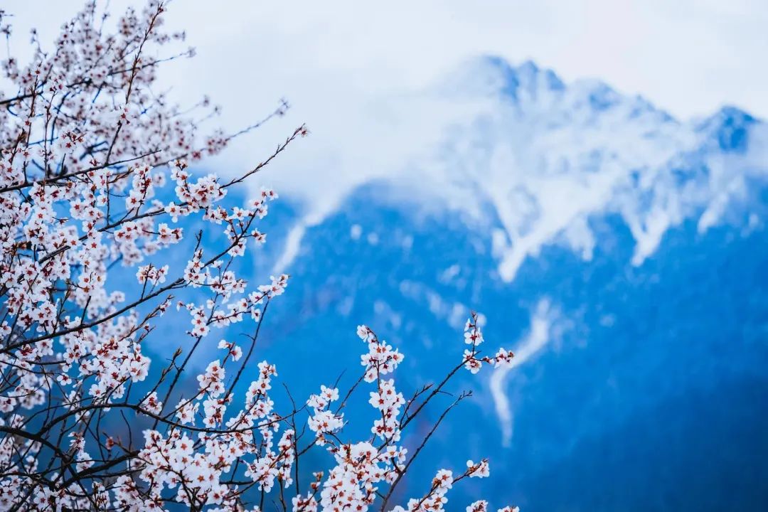 龙泉山看桃花徒步最佳路线,徒步穿越十里桃花漫山遍野