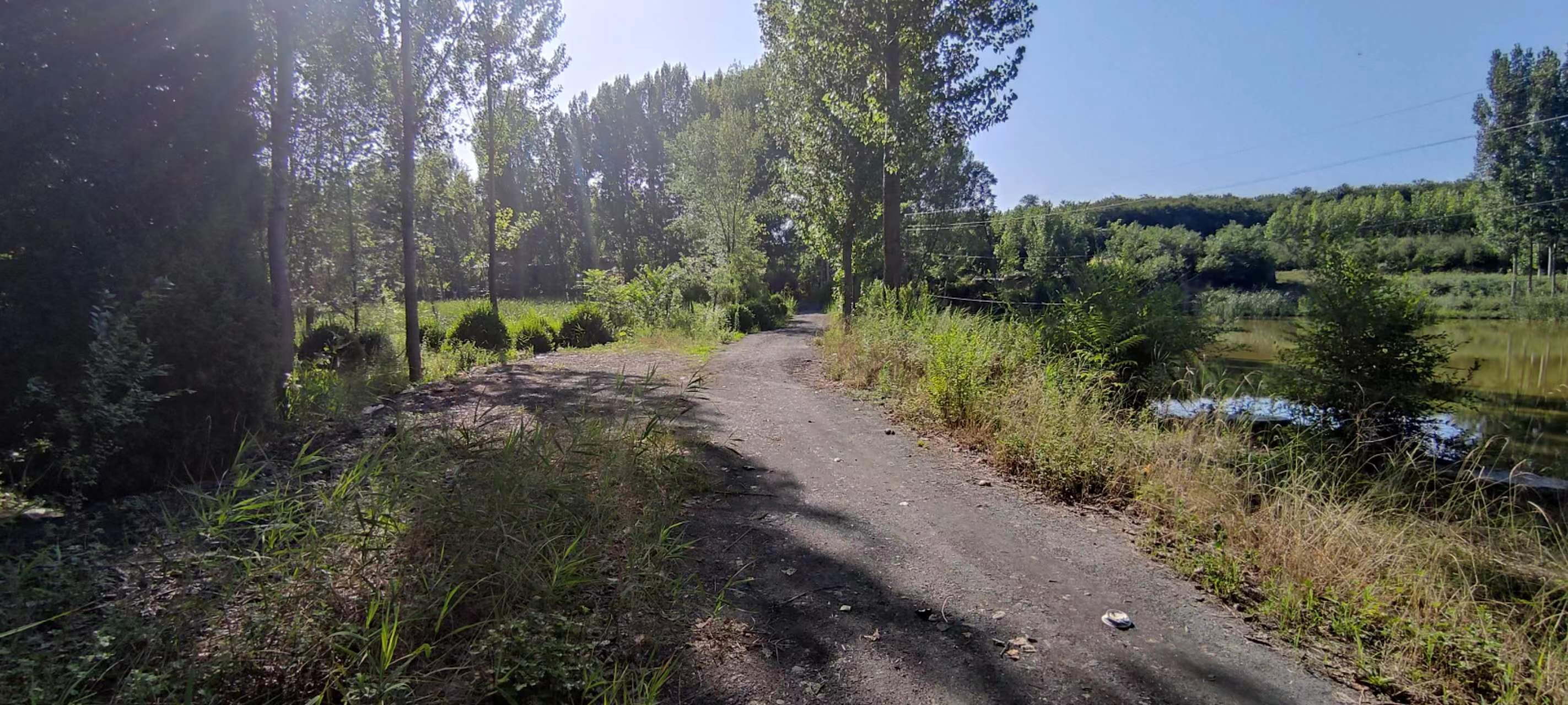 古中国考出彭蠡泽｜张笔魁