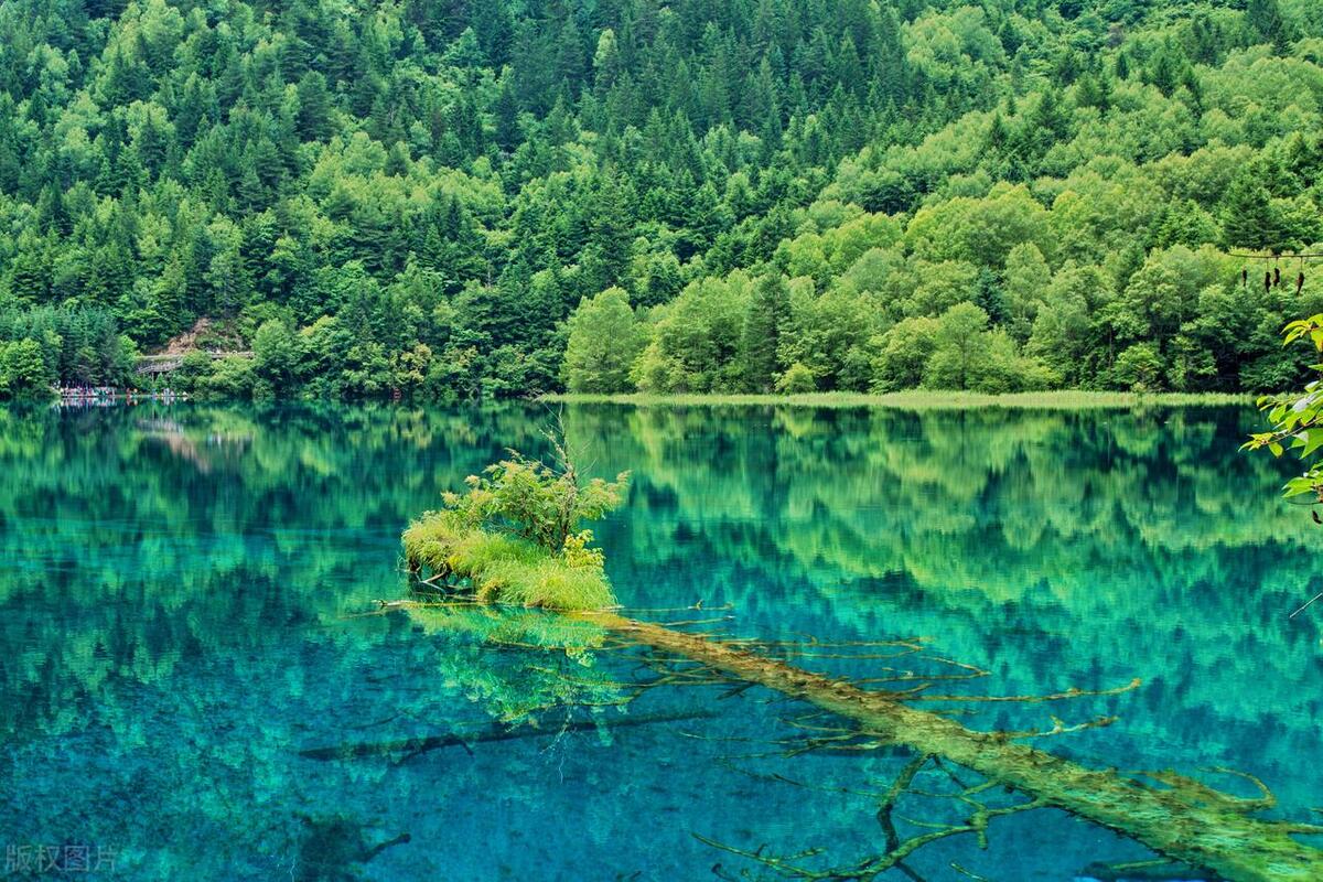 成都旅游攻略五天自由行多少钱,四川成都旅游攻略五日游多少钱