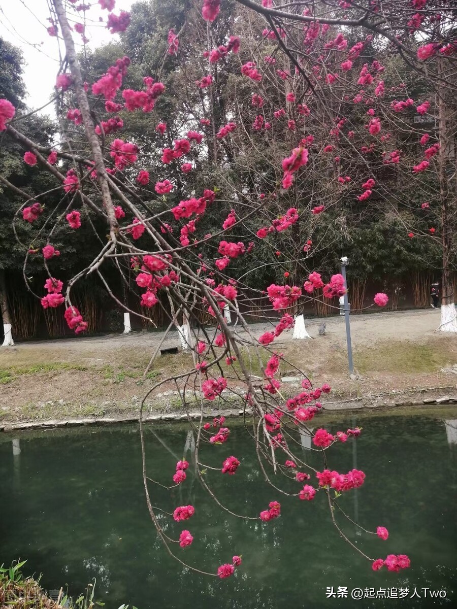 什么是实体店与网店,实体和电商哪个便宜