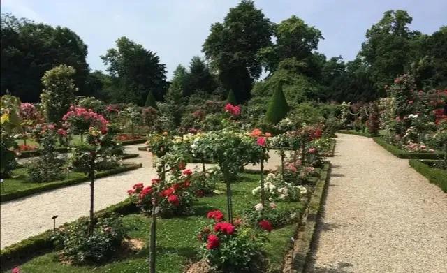 法国玫瑰花园,法国玫瑰花香沐浴露正品