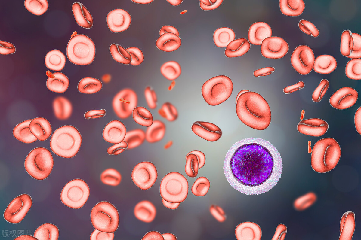 缺铁会有什么疾病或者后遗症,缺铁是贫血的唯一原因吗