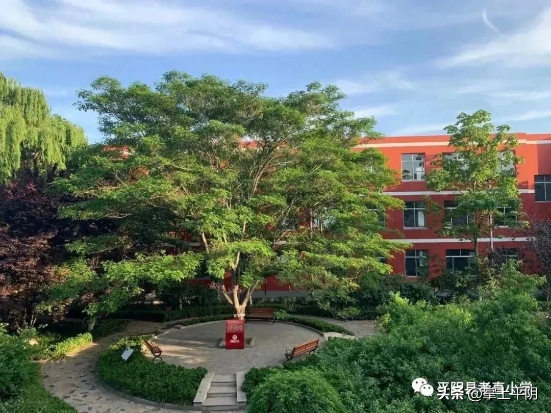 乡村温馨校园建设典型案例,乡村温馨校园优秀案例