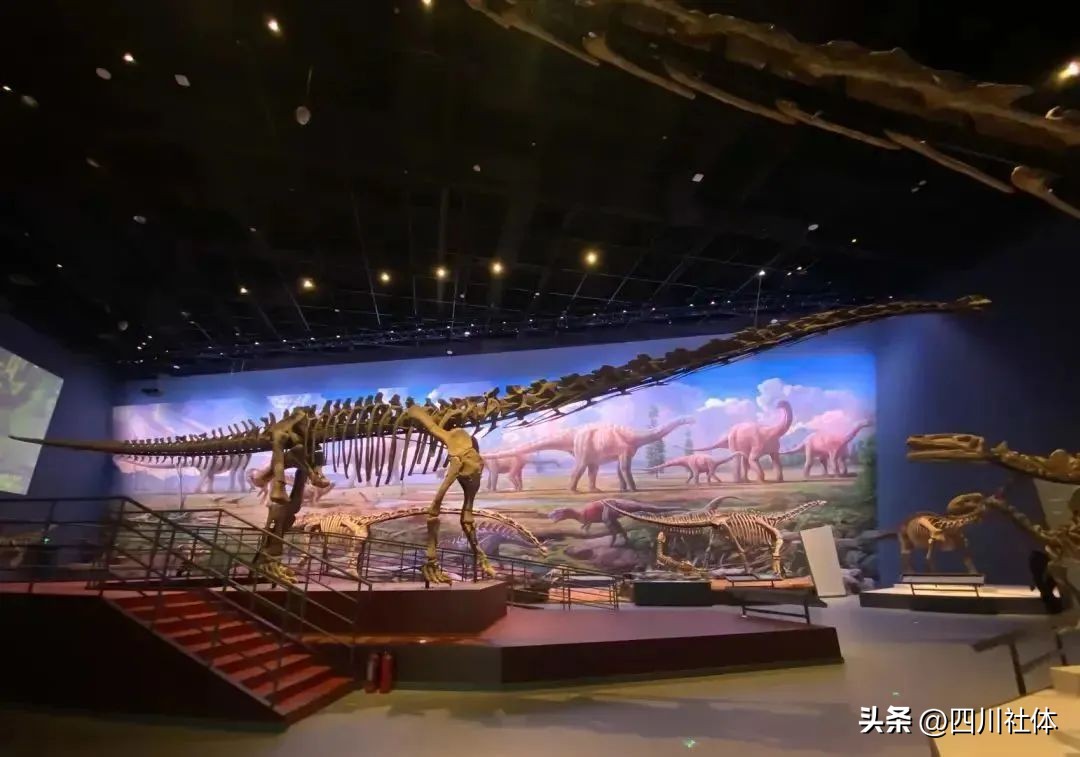 2022中国飞盘联赛总决赛杭州,2022首届中国飞盘联赛