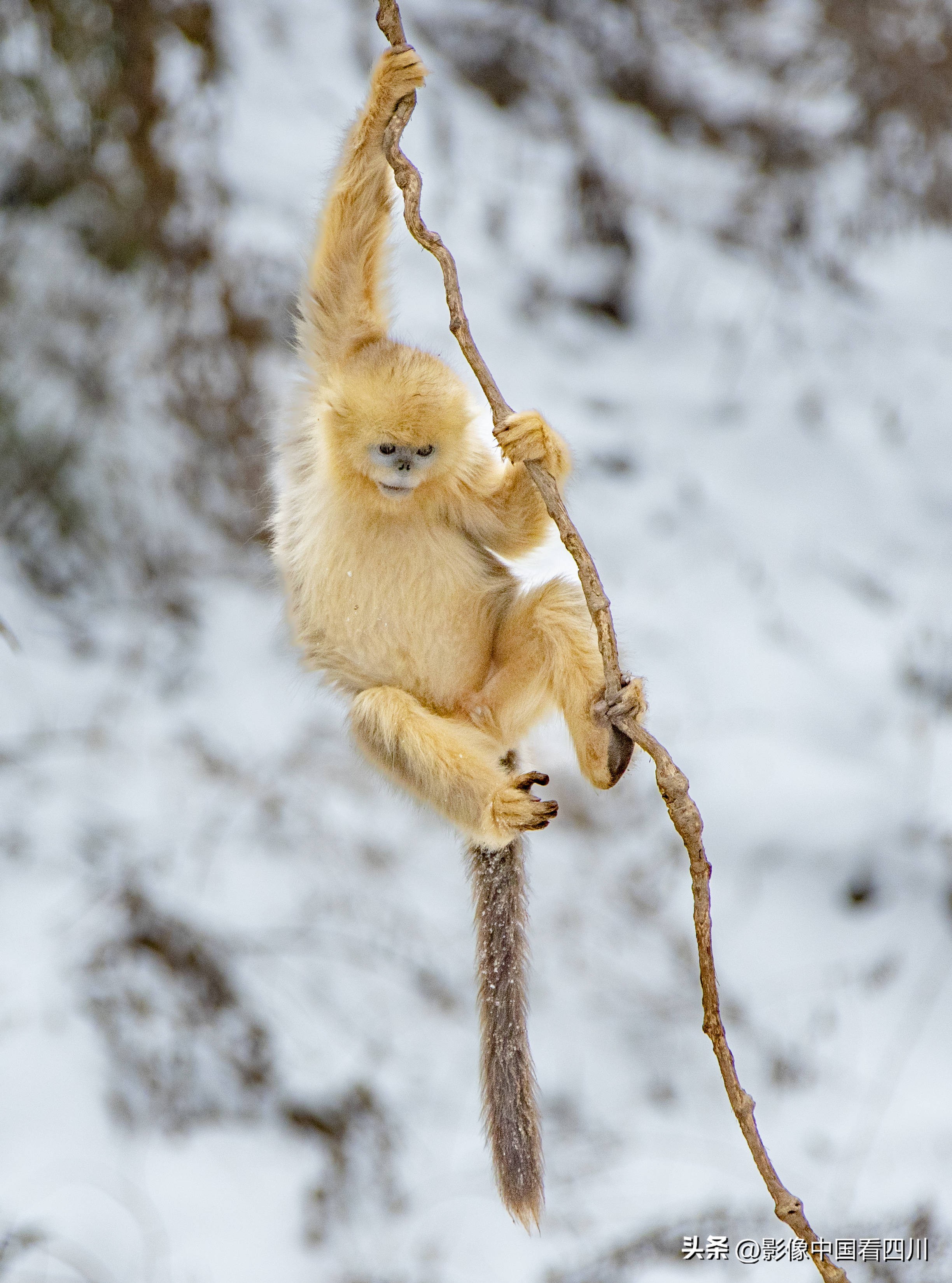 刘国兴的2022年:冬去春来,愿岁月静好(上集)