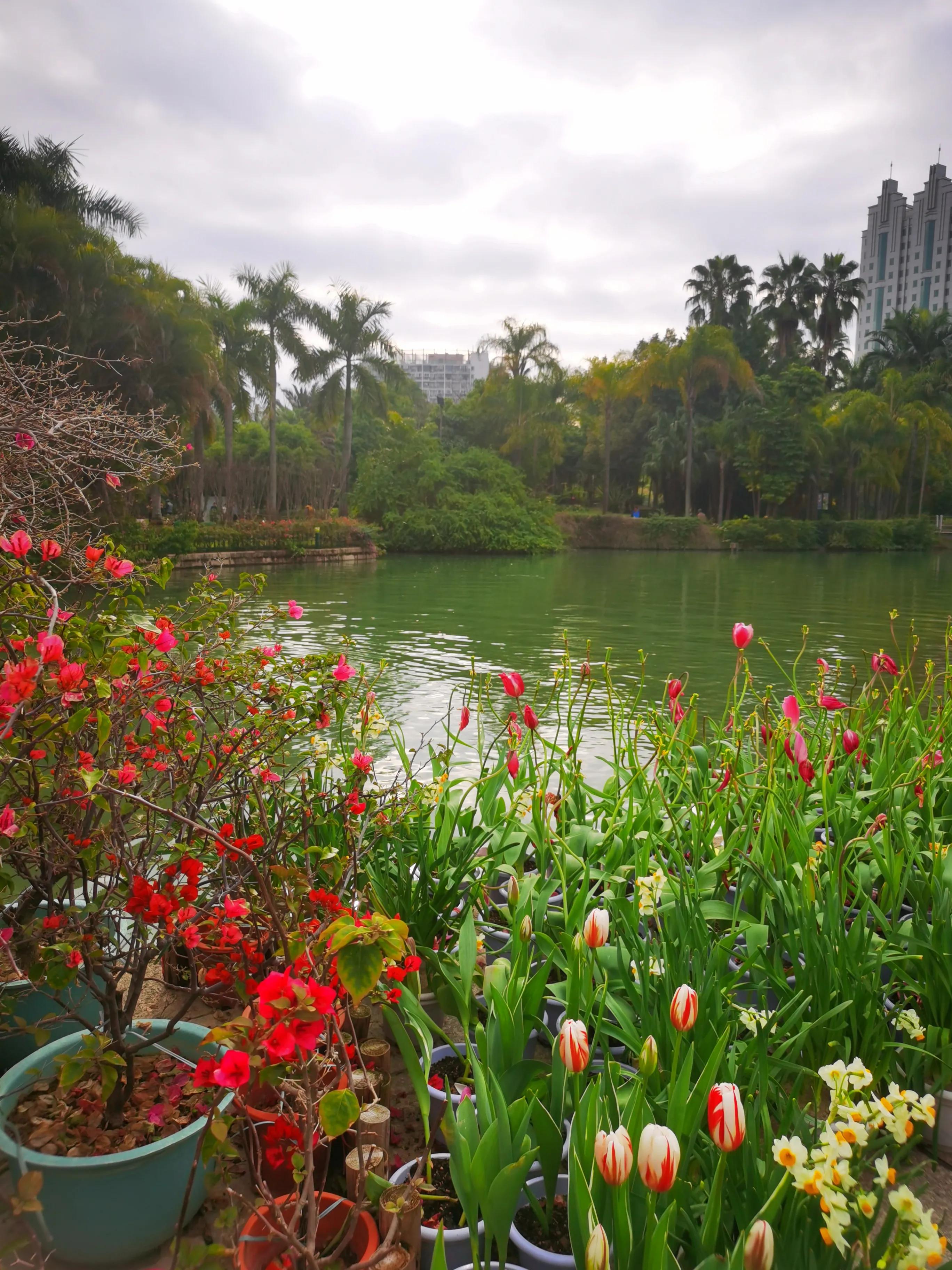 漫步在温泉河湿地公园,漫步福州静谧与繁华