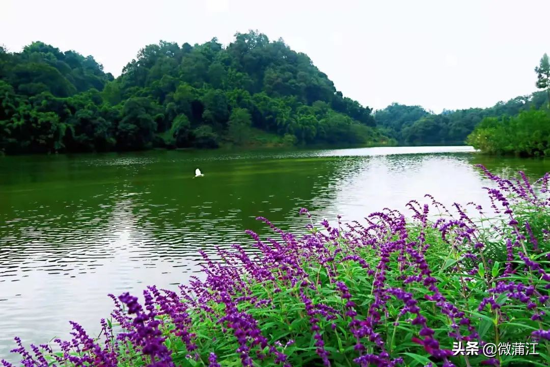朝阳湖云端绿道,朝阳湖绿道