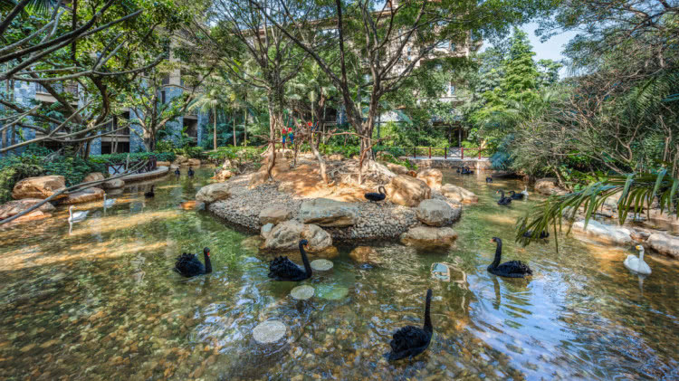 住野趣C位-广州长隆酒店！含高级客房+童趣乐园+广州长隆园区门票