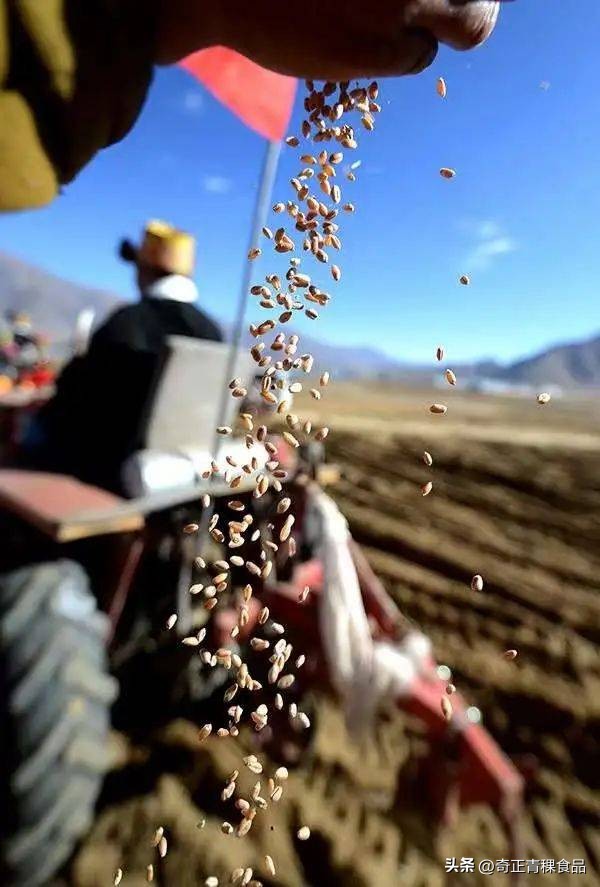 不同地区的迎藏历新年的风俗习惯,藏历新年的来历和风俗习惯