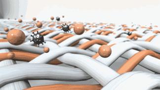 无松紧棉袜,单层肤色棉袜