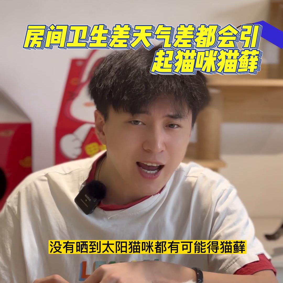 猫藓啊是最基础的猫咪小病,天气变化阴凉潮湿都会导致猫咪...