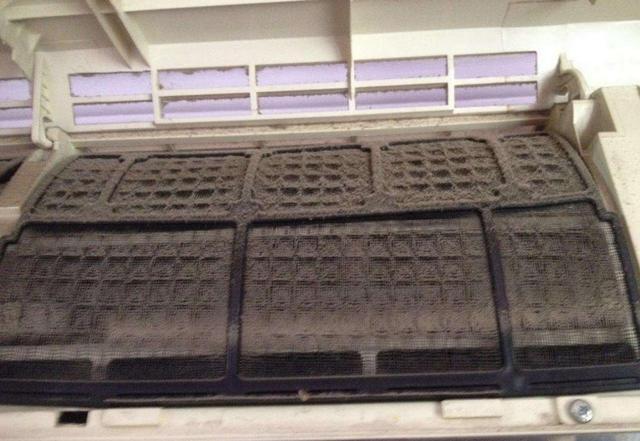 床上“螨虫成堆”？教你个土法子，家中放些它，螨虫“都跑光了”