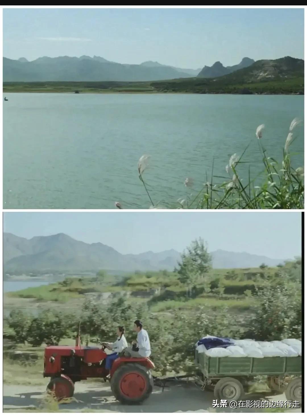 喜盈门里水莲,喜盈门水莲角色