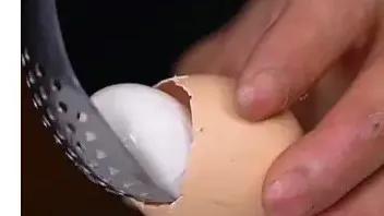 人造鸡蛋的成本要多少钱一个,人造鸡蛋的辟谣