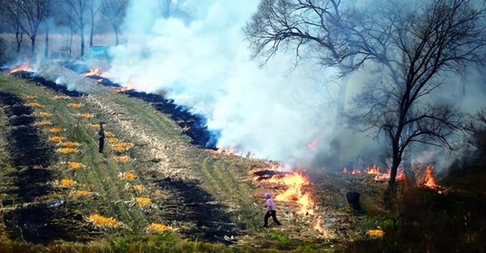 关于农作物秸秆禁烧的政策,你怎么看秸秆禁烧令