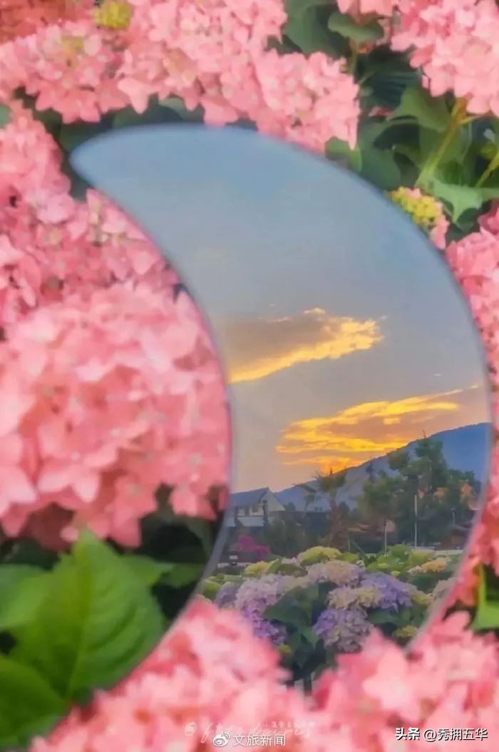 周末去哪里玩最合适昆明,昆明景点莫奈花园