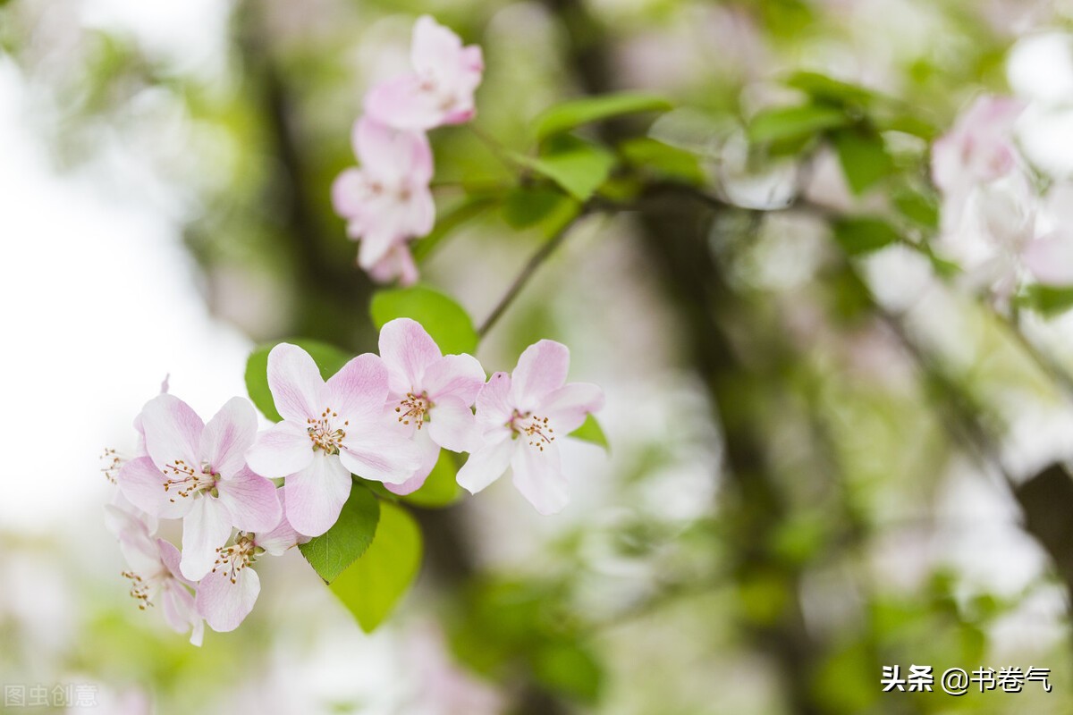 对你有好感的女生会接你语音吗,女人对你有好感会说这三个话