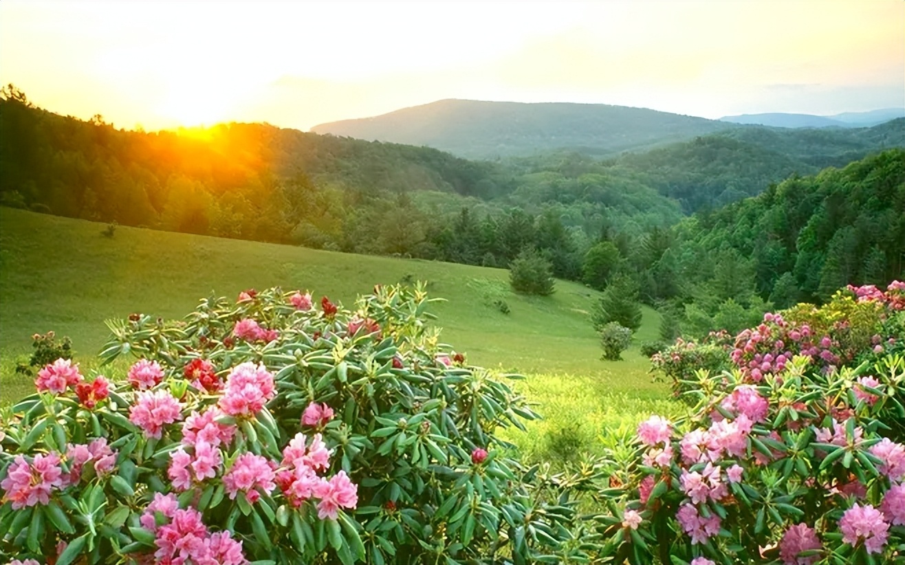 男人爱不爱你从对你称呼看得出,男人到底爱不爱你从称呼开始