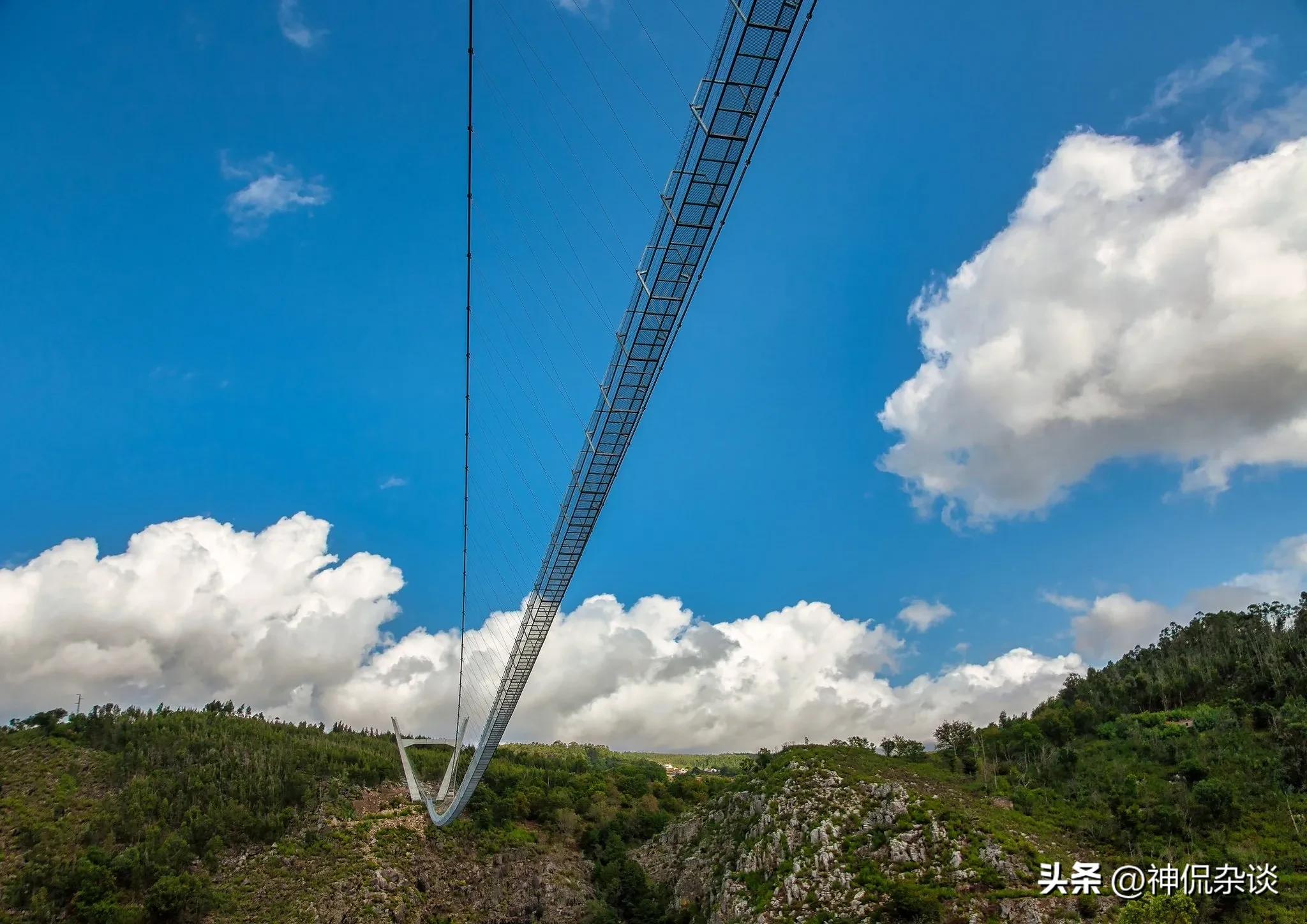 世界上鼻子最长的是什么动物,世界鼻子最长的人