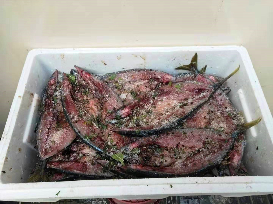 初冬，遇到此鱼我从不手软，一次买20斤，腌制存放，冬天吃特香