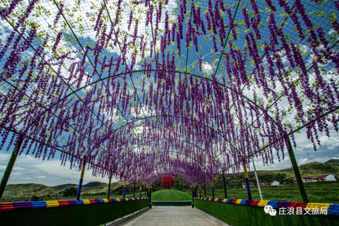 五月庄浪旅游攻略,大美庄浪关山景区