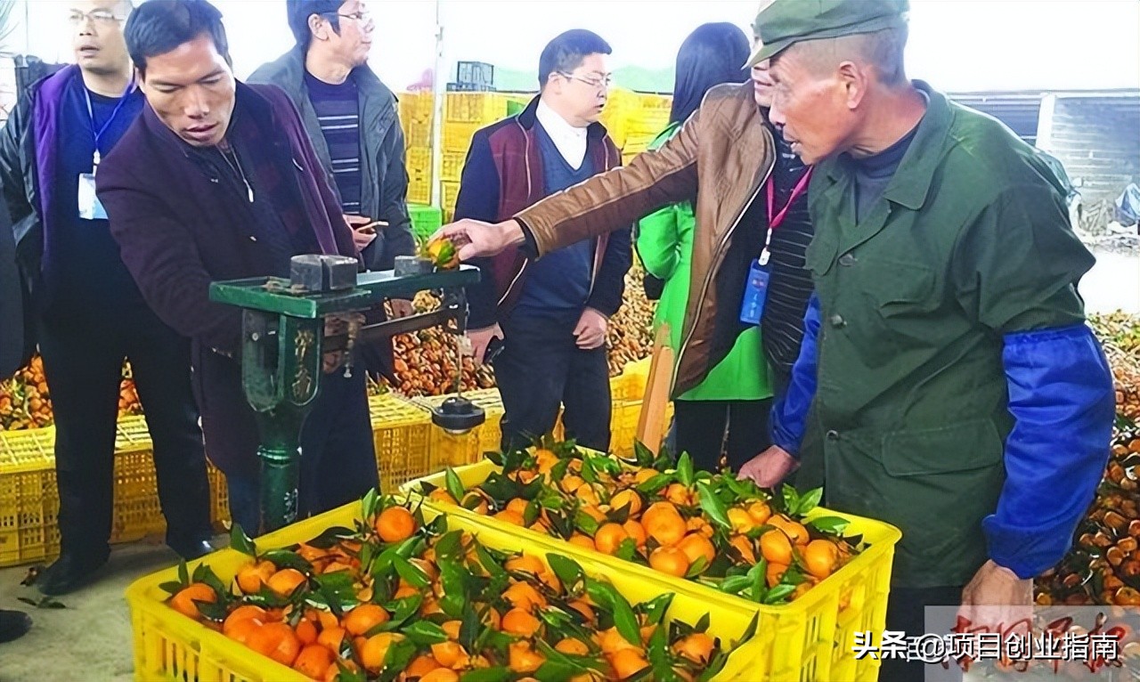 乡镇干什么项目能挣钱,乡镇能做的赚钱项目