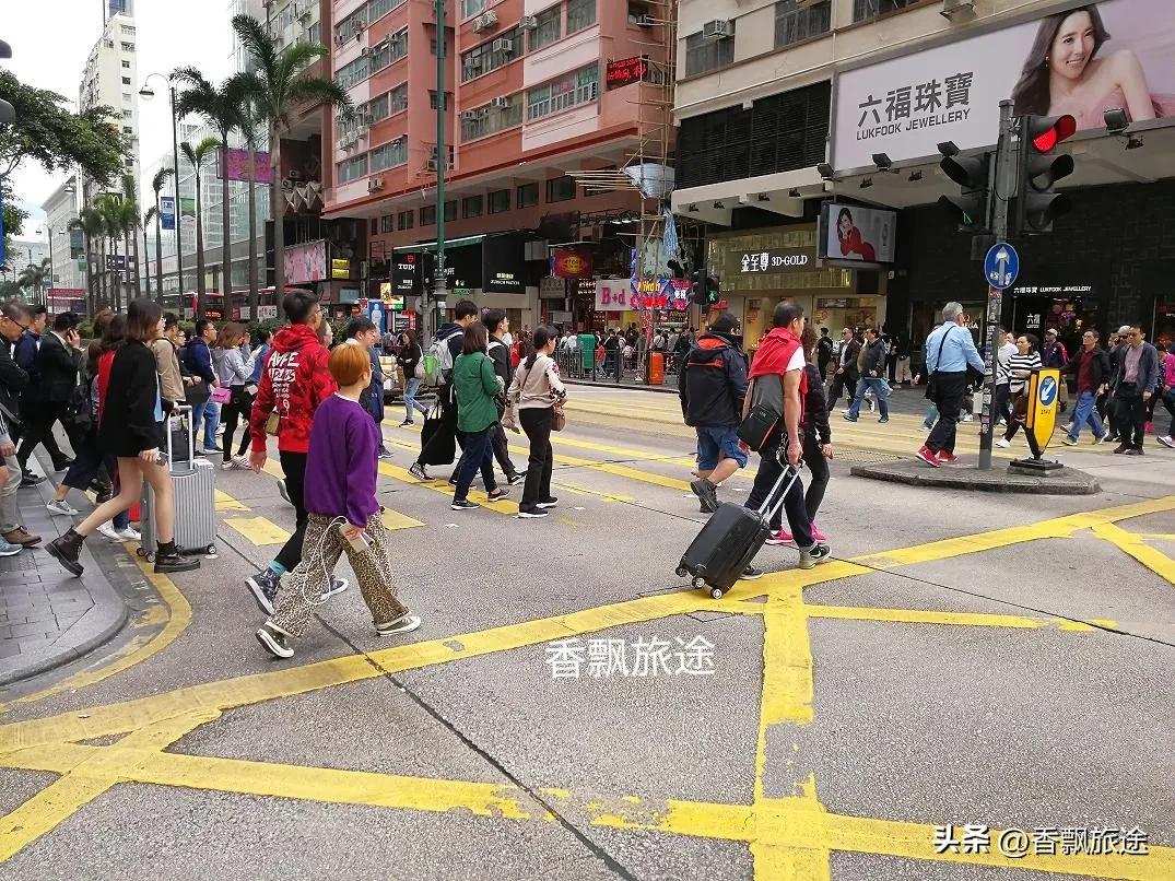 香港尖沙咀海鲜,香港尖沙咀巴士