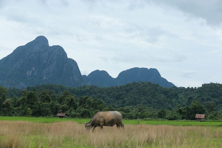 期货在市场上如何操作,期货基本面分析哪个软件好
