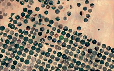 沙特人如何种地,怎么养活tinder