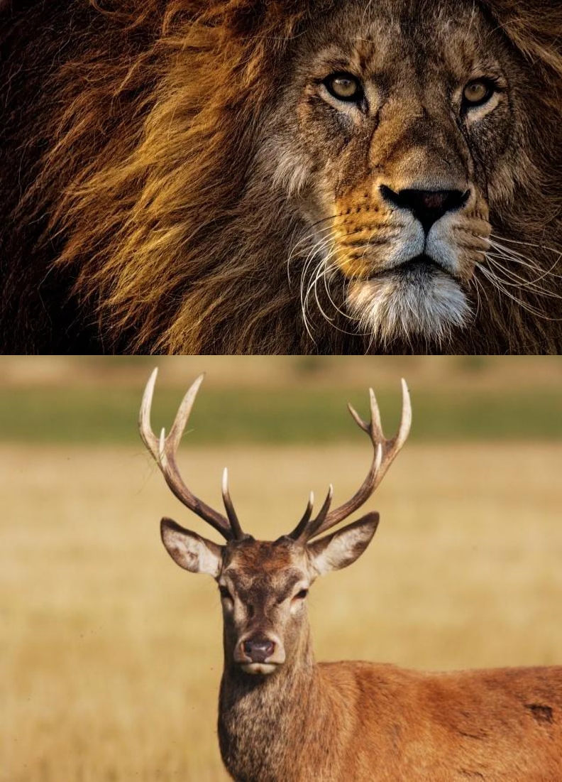 2022篮球鞋年度排行榜,2021国产篮球鞋排名前十名