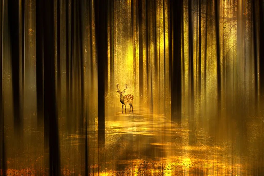 那些一眼就惊艳到你的诗词,50句意境超美的诗词