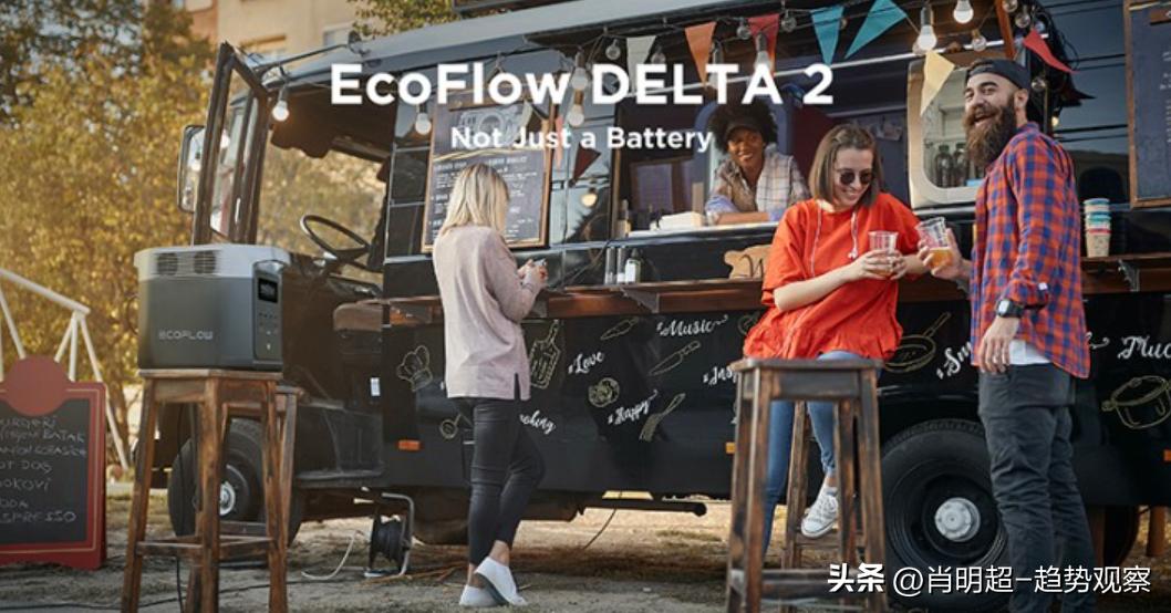 2019金鼠标营销,金鼠标网络营销案例