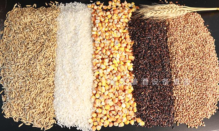 白酒酿酒设备和技术哪个好一点,家用酿酒300斤白酒设备