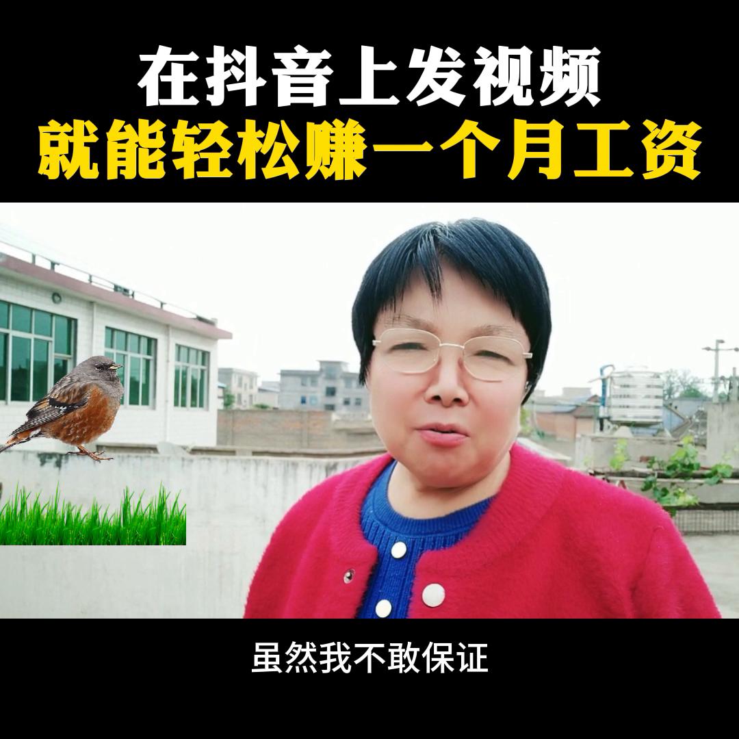 抖音dou+小助手能赚钱吗,抖音dou+小助手有用吗