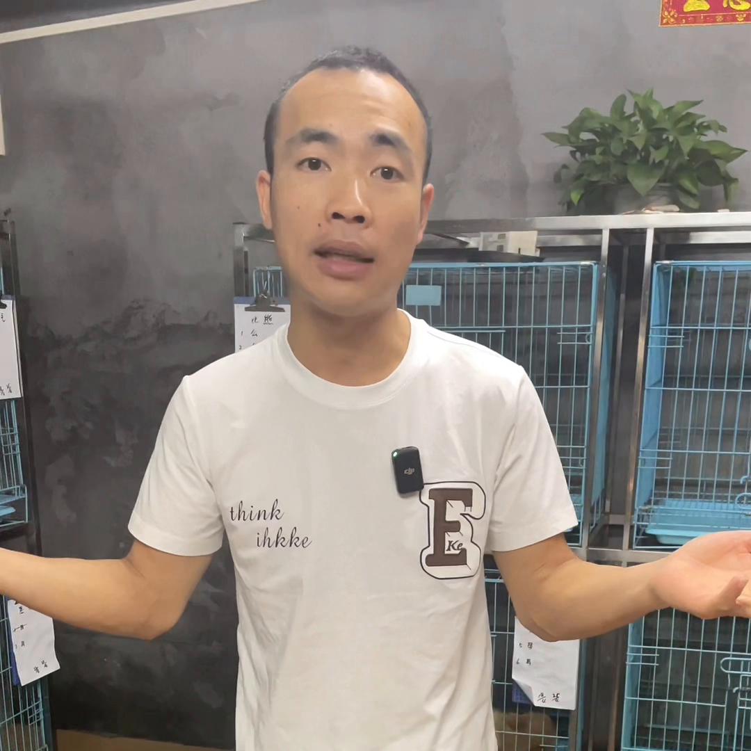 在网上买狗被骗的都有哪些,网上买狗怎样才知道没被骗