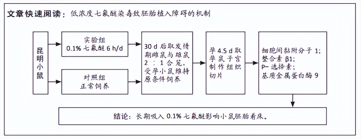 长期吸入低浓度七氟醚孕鼠子宫内膜细胞间黏附分子1及基质金属蛋白酶9的表达