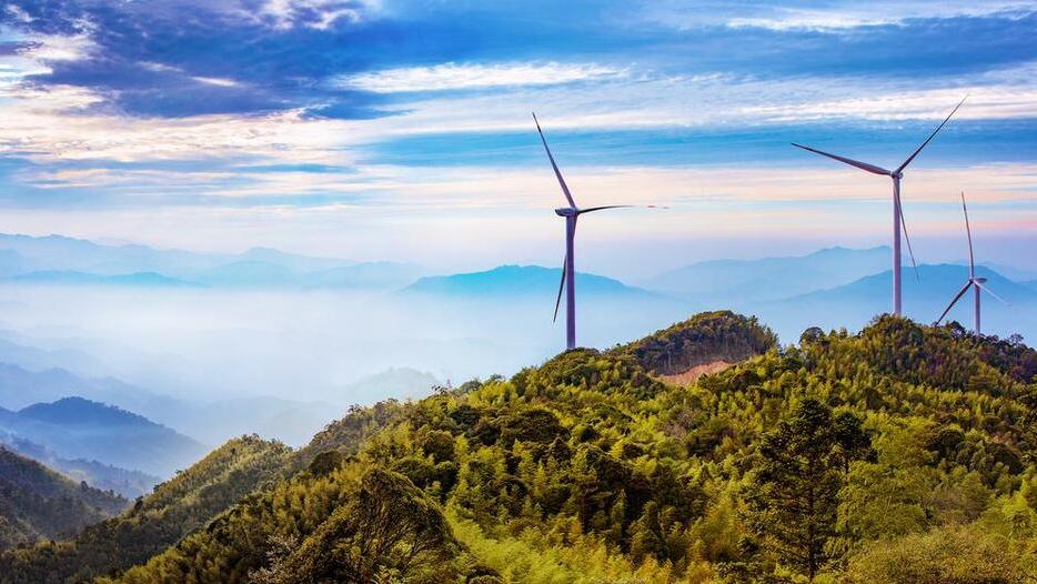 风电光伏为什么称之为垃圾电,为什么很多地方在拆除风电