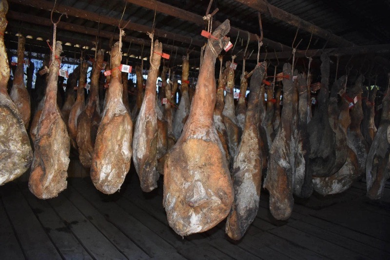 云食集美食,云食小吃