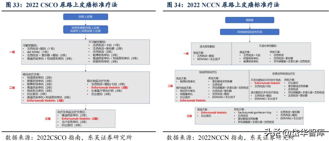 有效避开内卷，迈威生物：ADC锋芒初显，快速成长的Biopharma